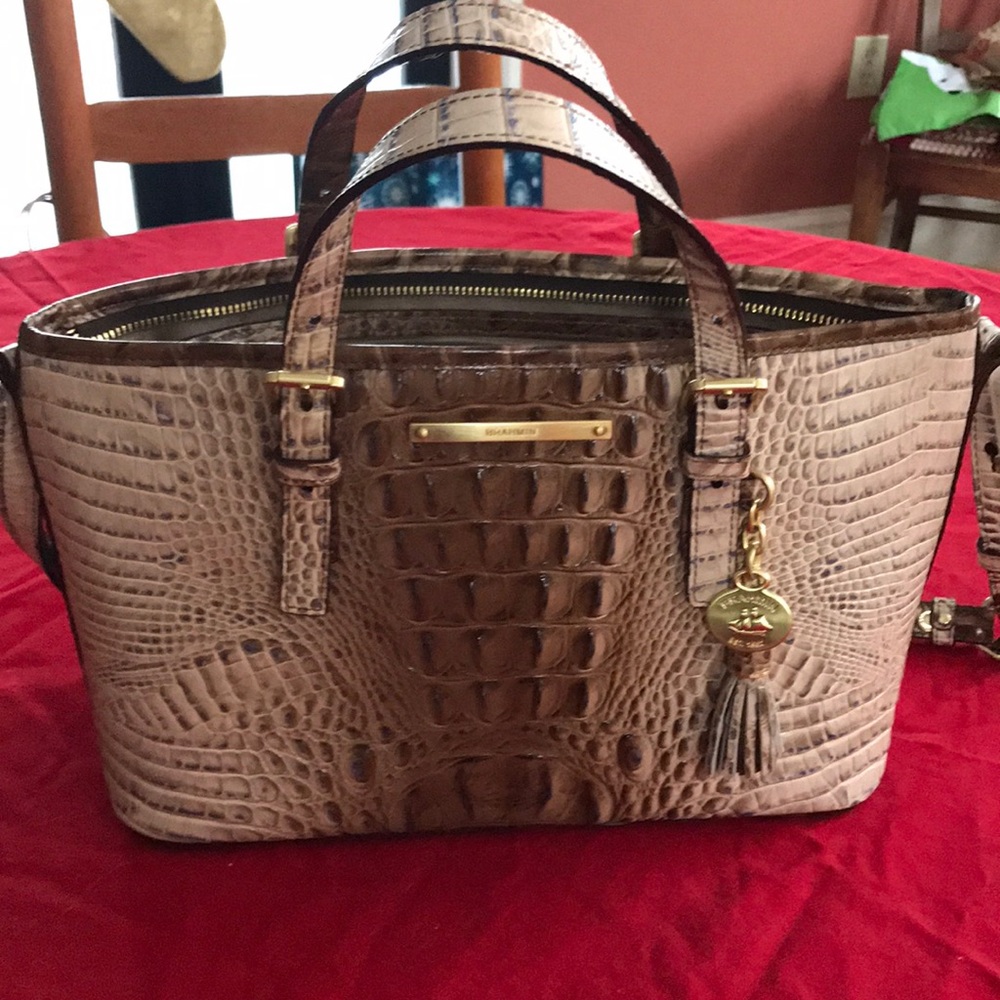 Brahmin Mini Asher